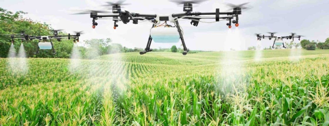 B.Eng. Agricultural and Biosystem Engineering
